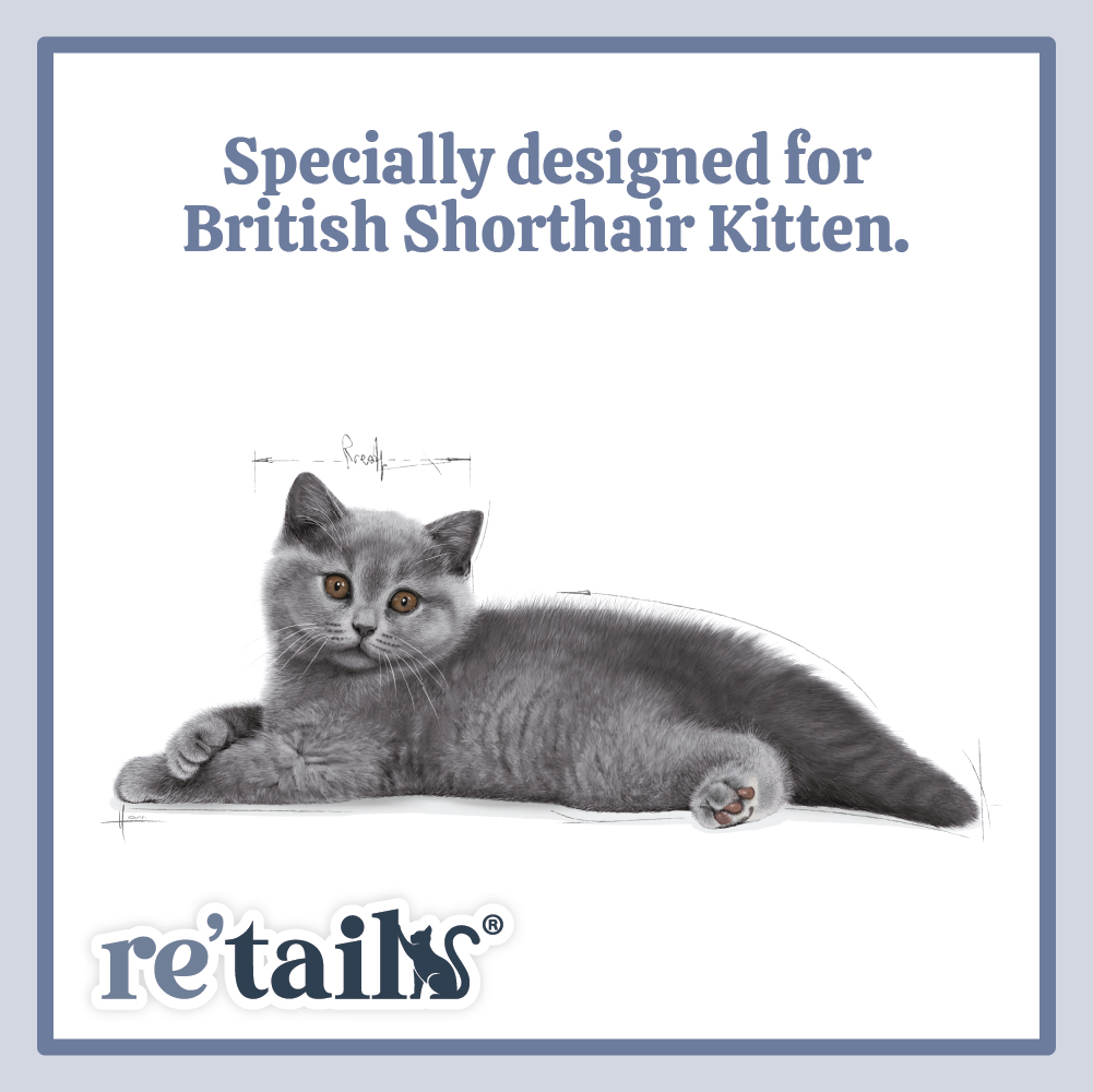Royal Canin British Shorthair (2kg/4kg)
