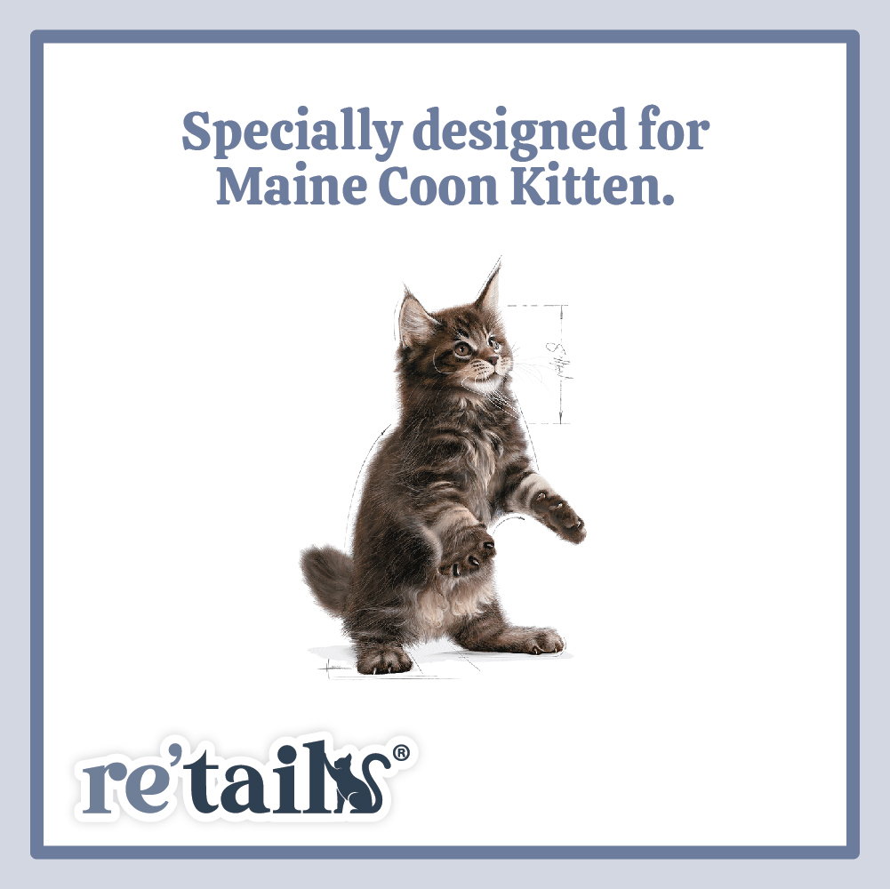 Royal Canin Maine Coon (2kg/4kg)