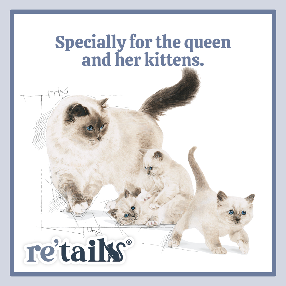 Royal Canin Mother & Babycat (2kg/4kg)