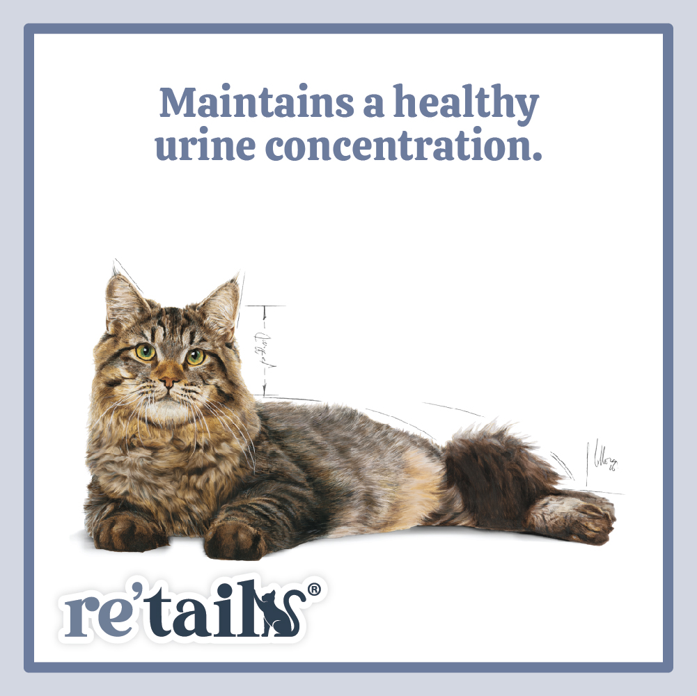 Royal Canin Urinary Care (2kg/4kg)