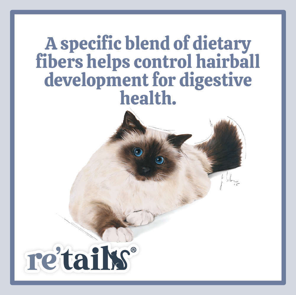 Royal Canin Hairball Care (2kg/4kg)