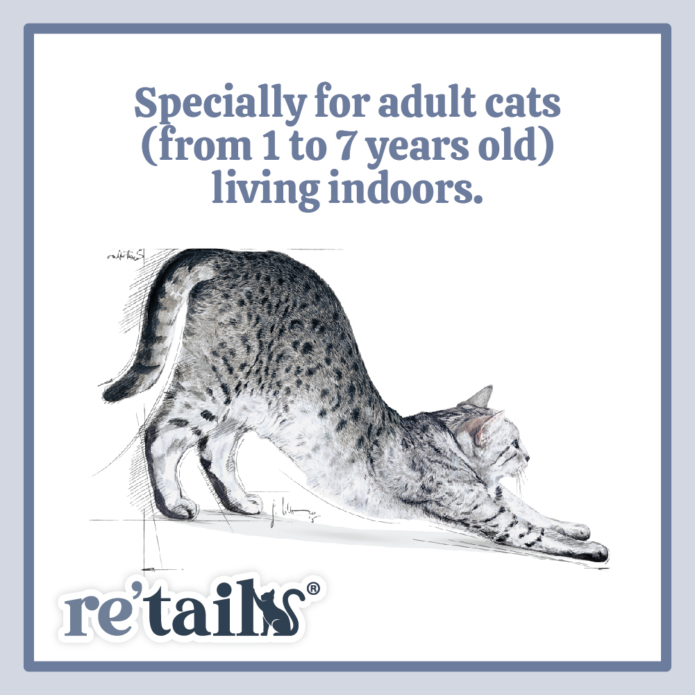 Royal Canin Indoor 27 (2kg/4kg)