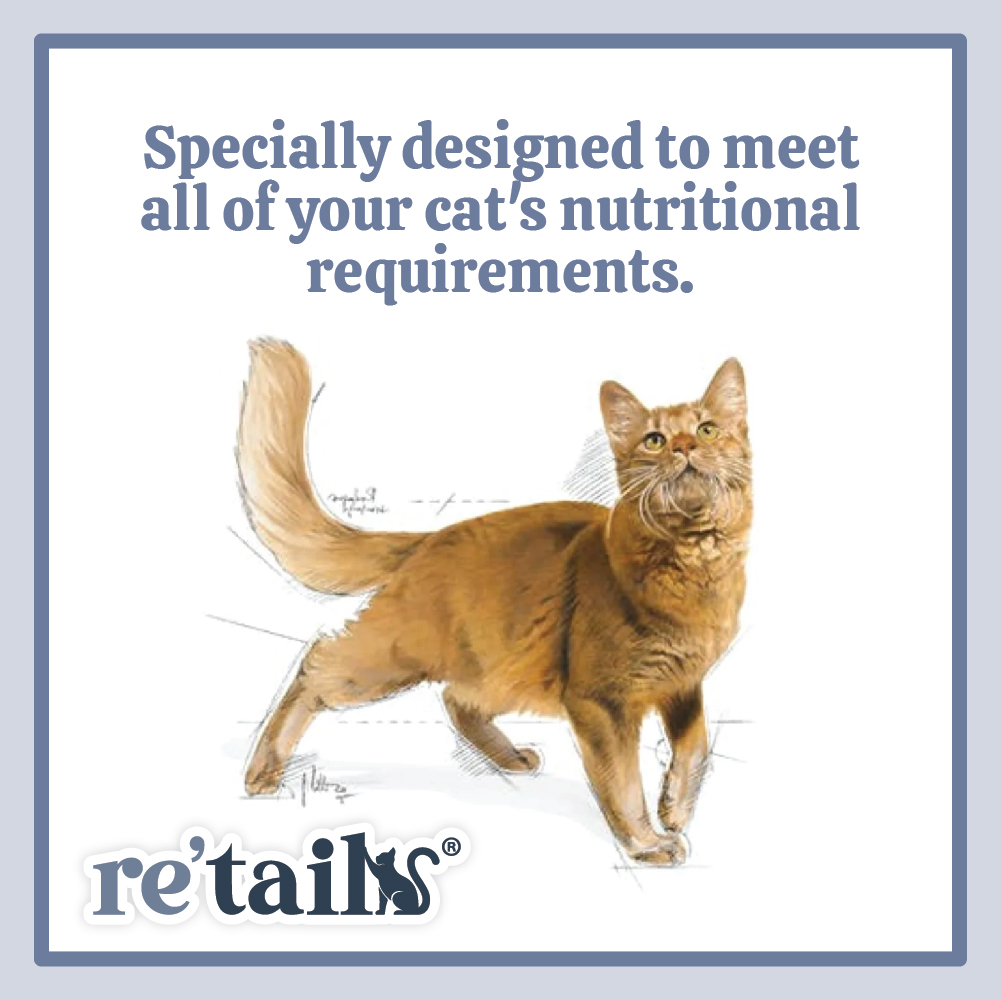 Royal Canin Fit 32 (2kg/4kg)