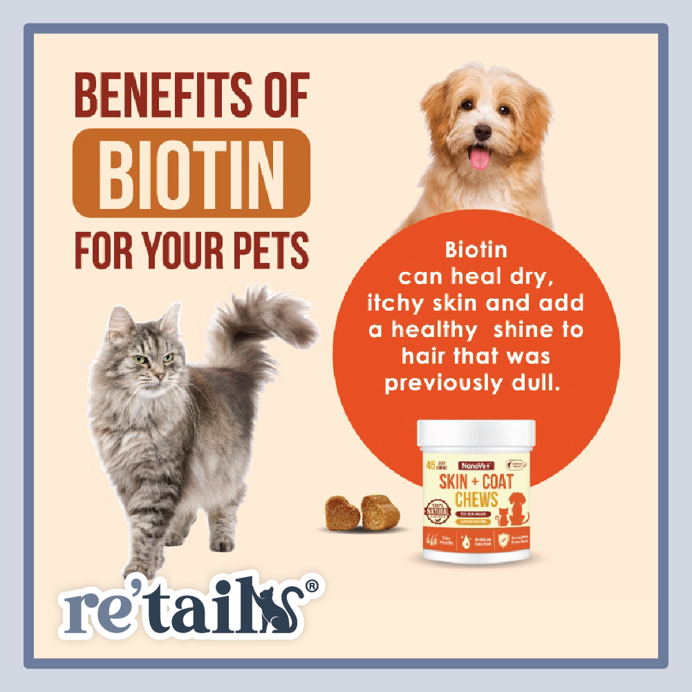 Nanovet Skin + Coat Chews (45 Chews)