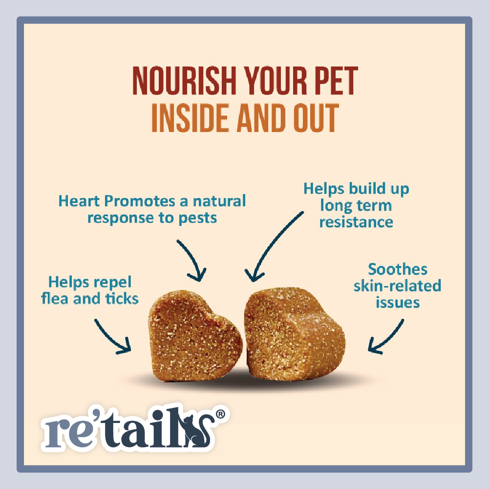 Nanovet Pet Flea & Tick Chews (45 Chews)