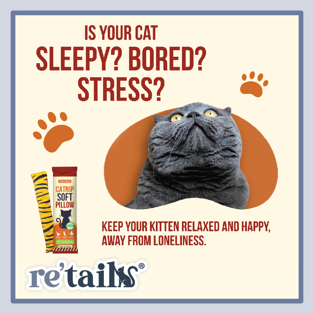 Nanovet Catnip Soft Pillow