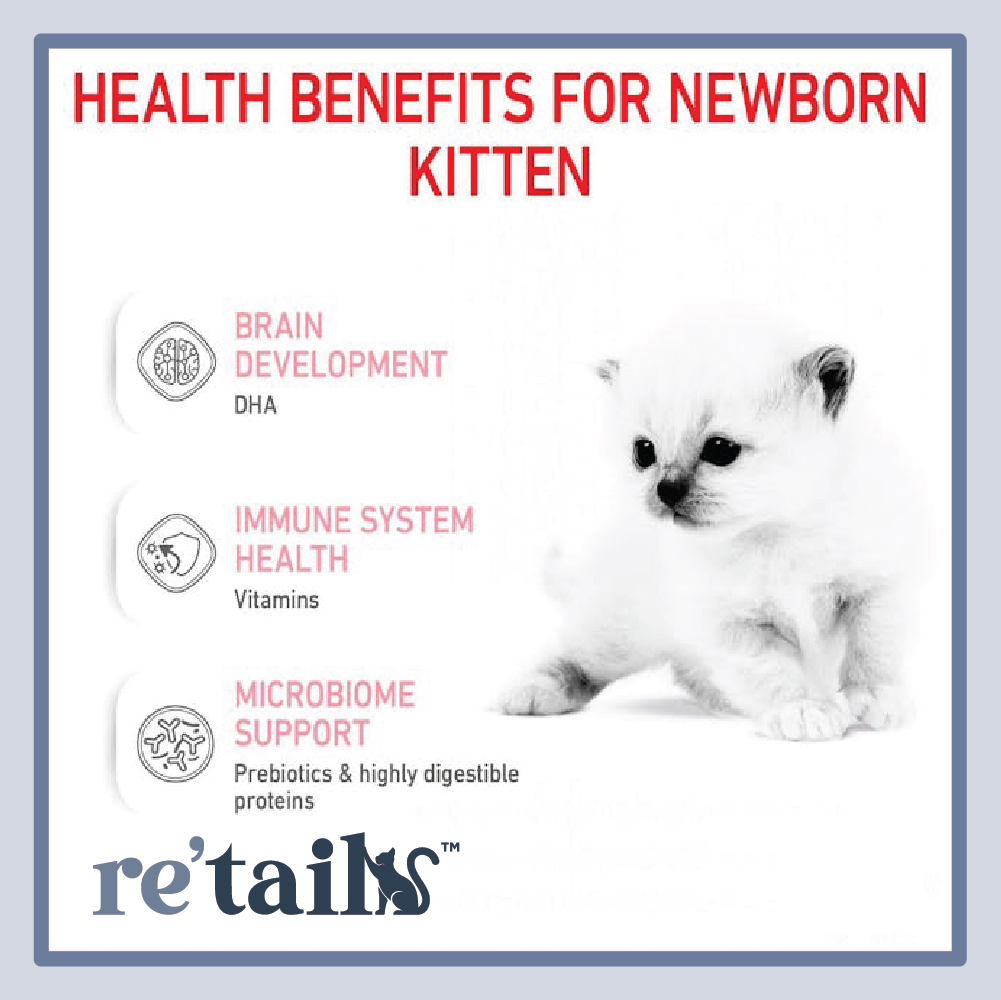 Royal Canin Babycat Milk (300g)