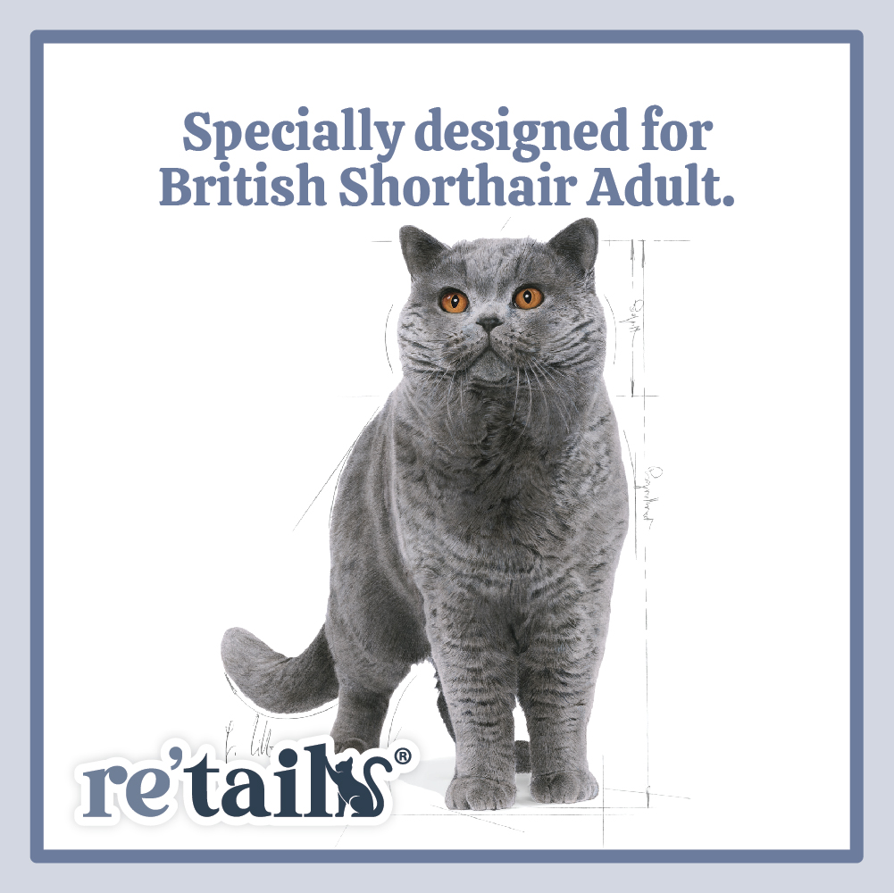 Royal Canin British Shorthair (2kg/4kg)