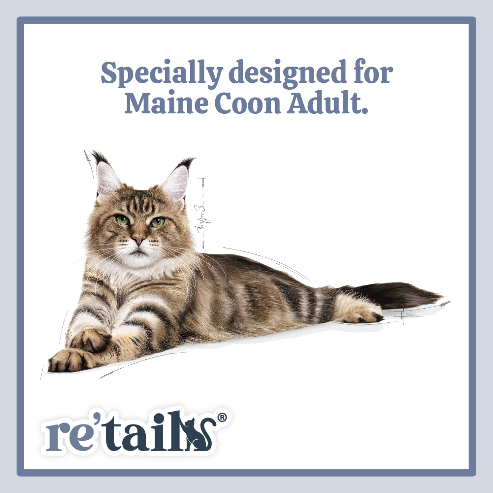 Royal Canin Maine Coon (2kg/4kg)