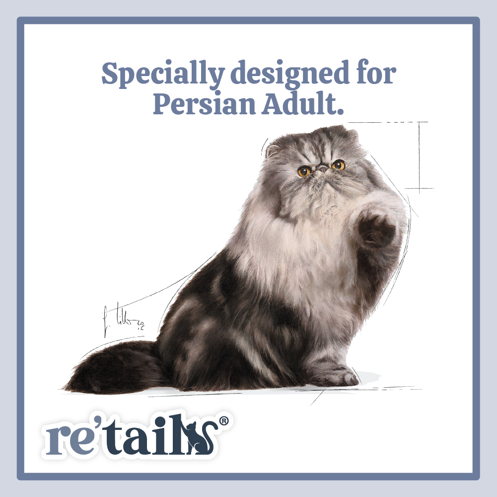 Royal Canin Persian (2kg/4kg)