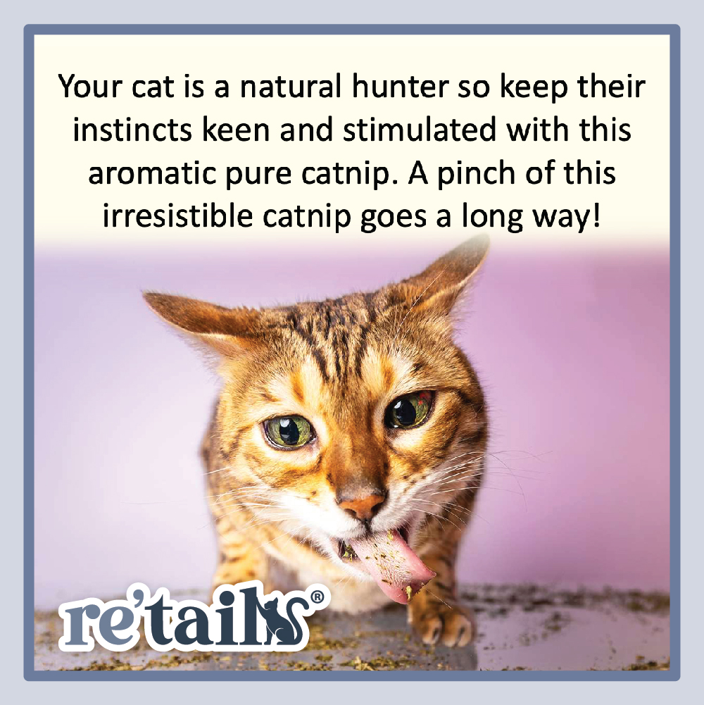 Nanovet Premium Catnip Leaves (48g)