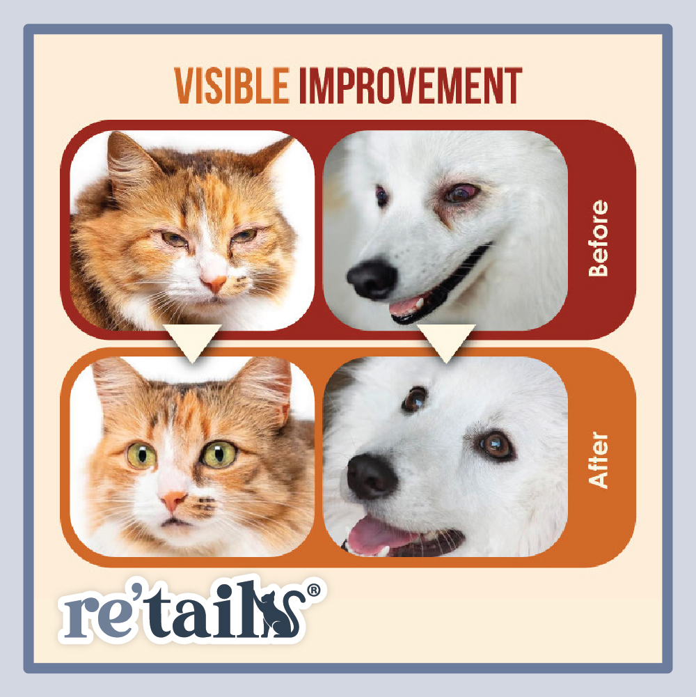 Nanovet Pet Eye + Tear Stain Solution Kit