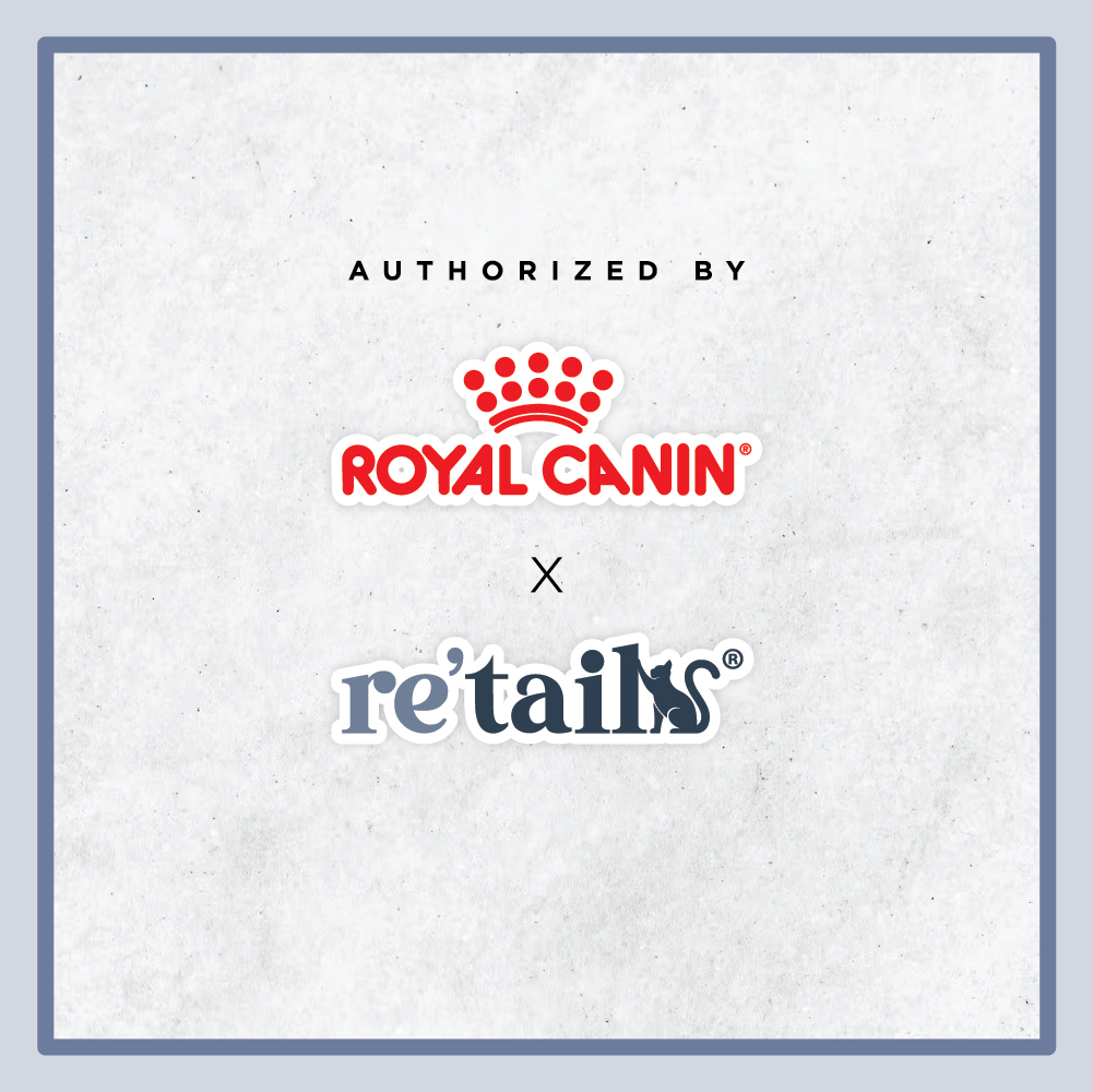 Royal Canin Kitten (2kg/4kg)