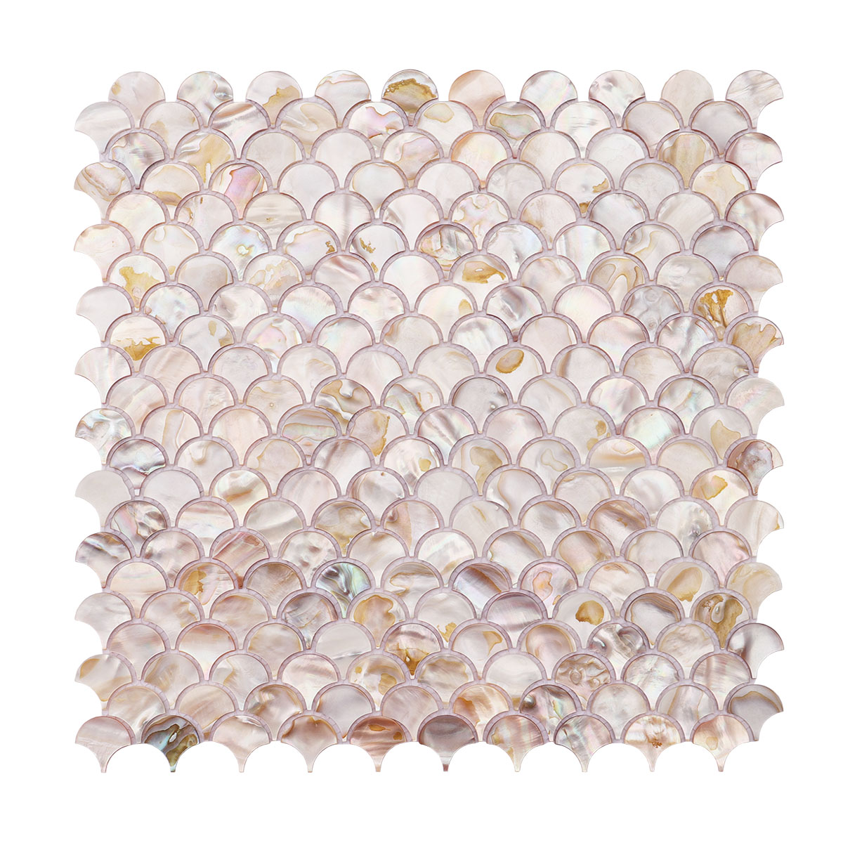 Sheet of mother of pearl fish scale tiles showing obverse side