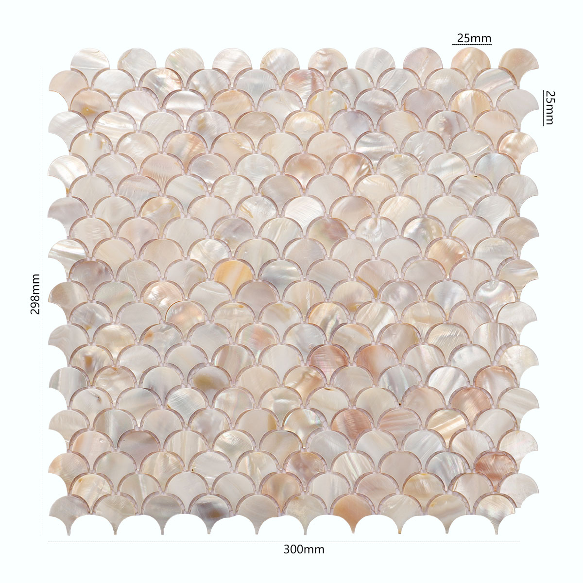 Front of mother of pearl fish scale tiles, with size details