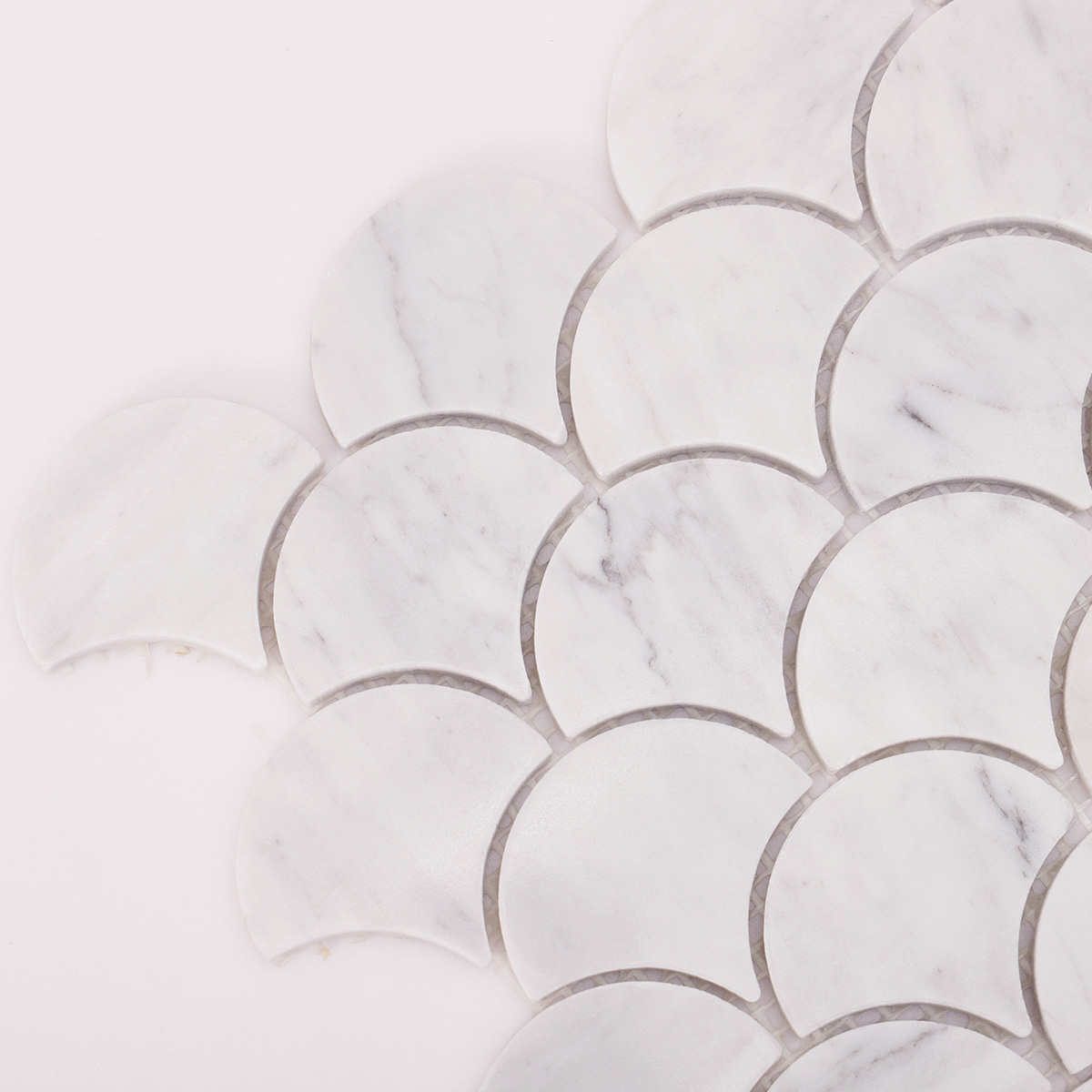 Close-up view of fish scale fan shape Carrara white marble polished mosaic tiles.