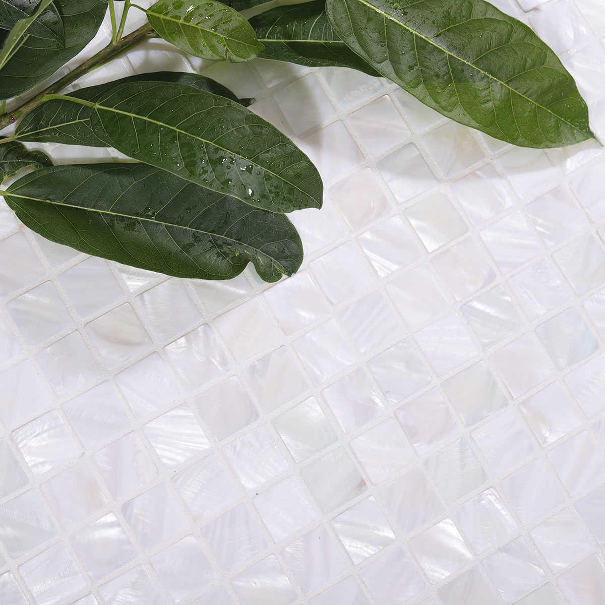 White Natural Shell Nacre Mosaic Tile with Green Leaves Setting