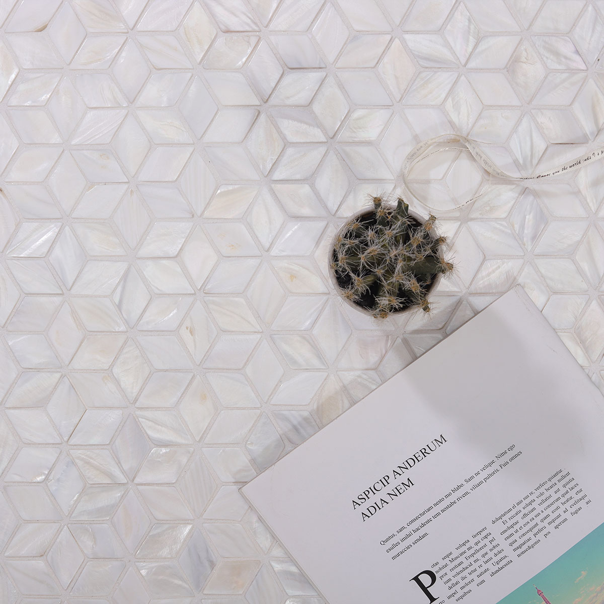Close-up of white mother of pearl mosaic tiles with a small cactus beside them.