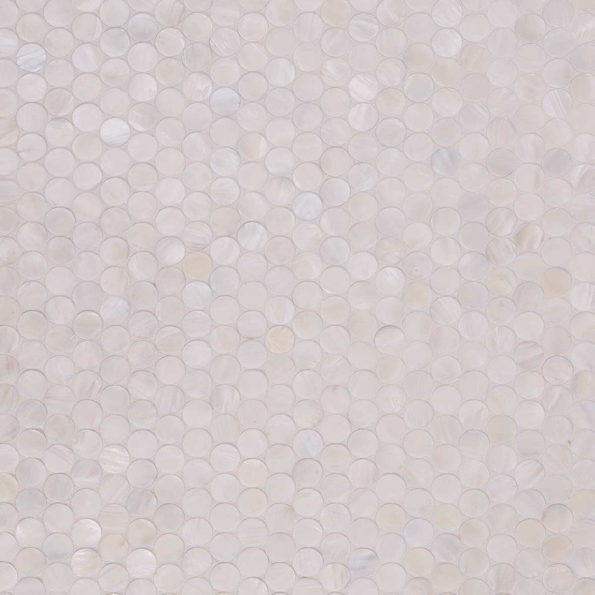 Front view of penny round mother of pearl mosaic tiles.