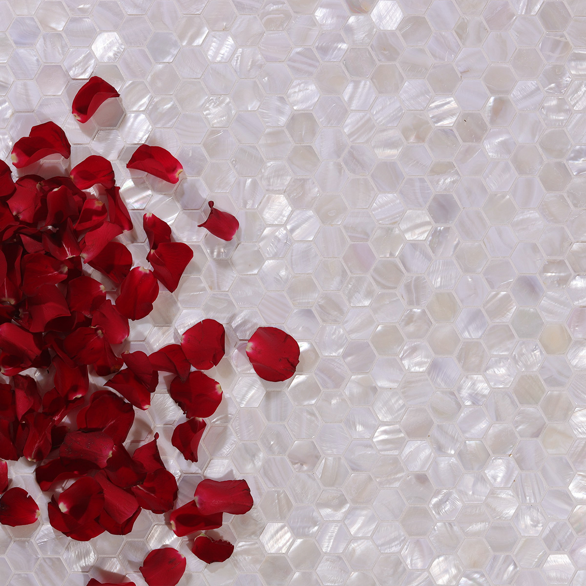 White hexagon mother of pearl mosaic tiles with rose petals beside them, wider view.