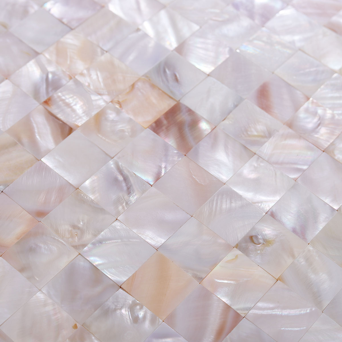 Detailed View of Natural Seashell Mosaic Backsplash Texture