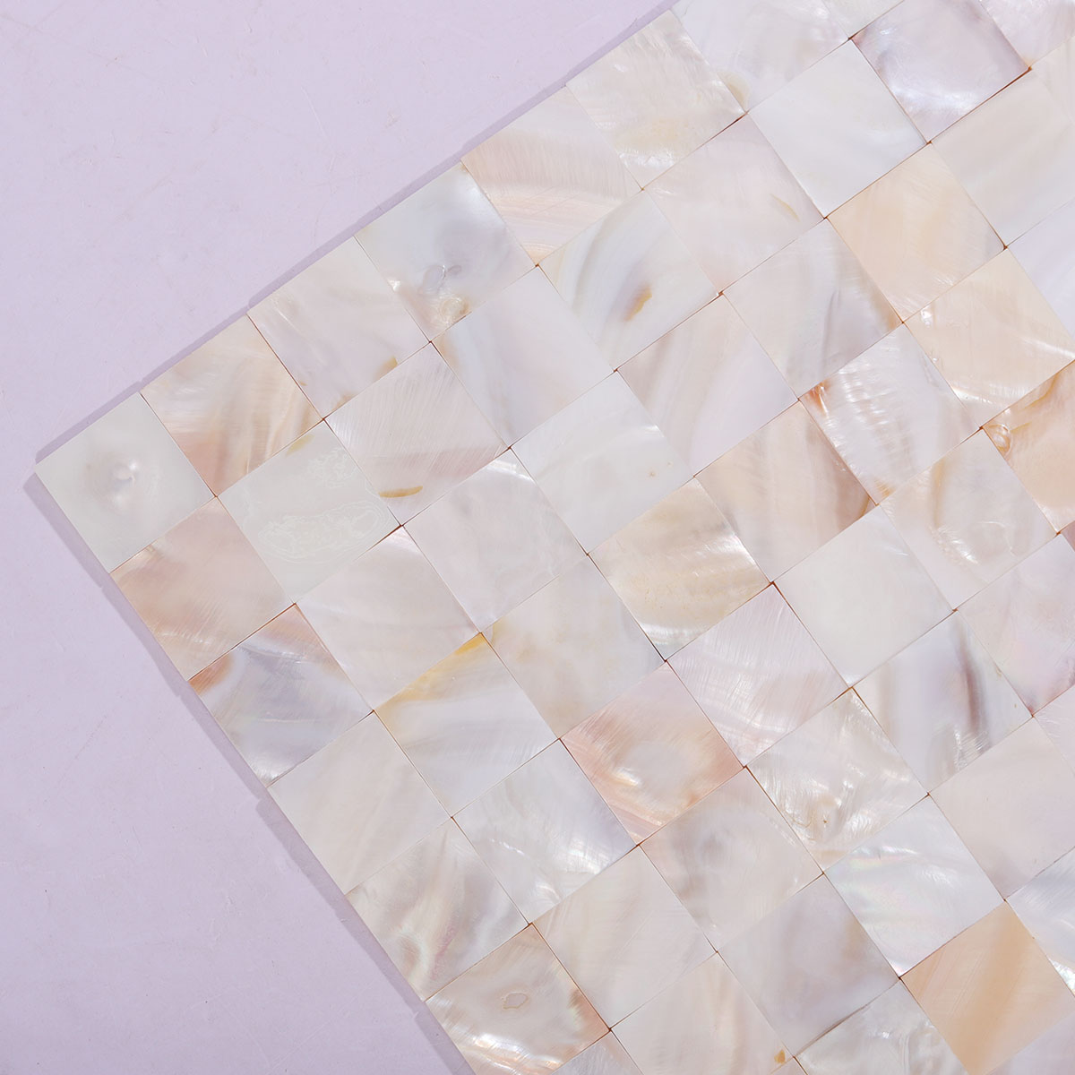 Close-up of Natural Seashell Mother of Pearl Mosaic Tile Surface