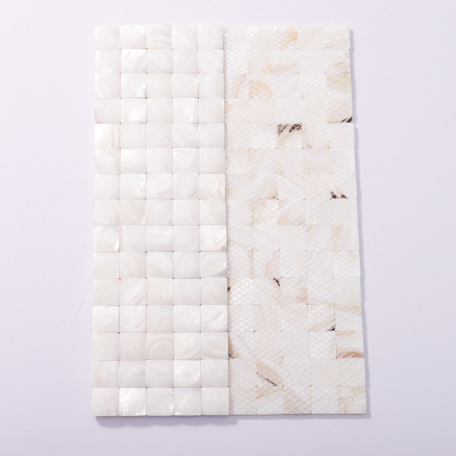 Front and mesh back of 3D natural shell square mosaic tile