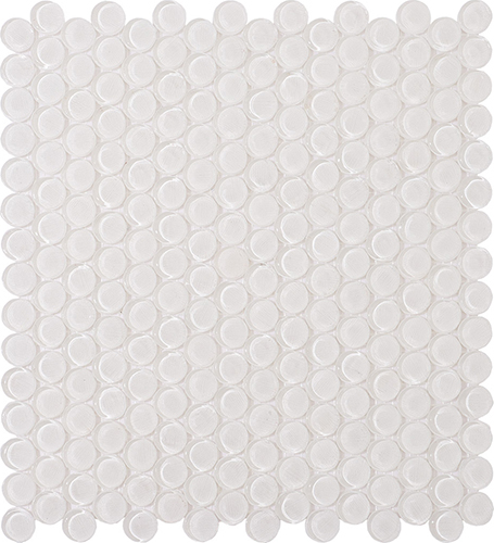 SC01(Transp)
