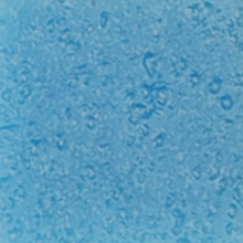 A131