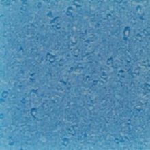 A141