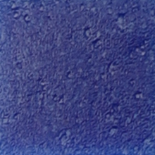 A161