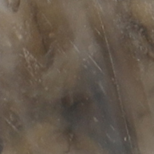 CA31