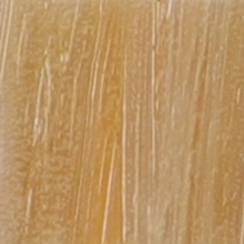 CA33