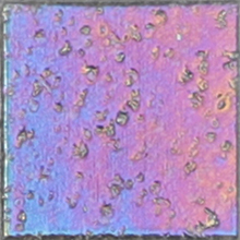 WN09