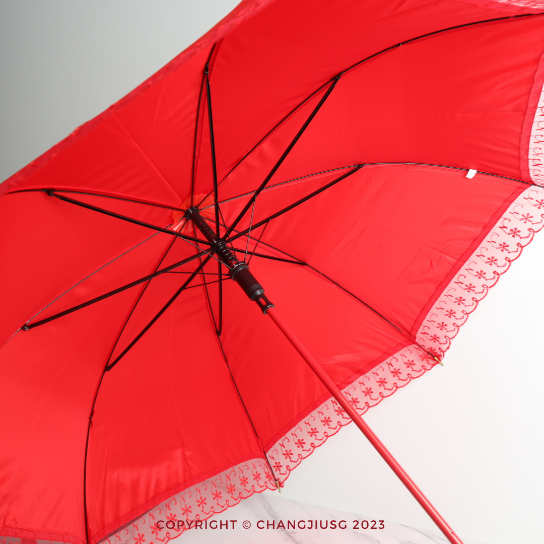 Red Umbrella 红伞