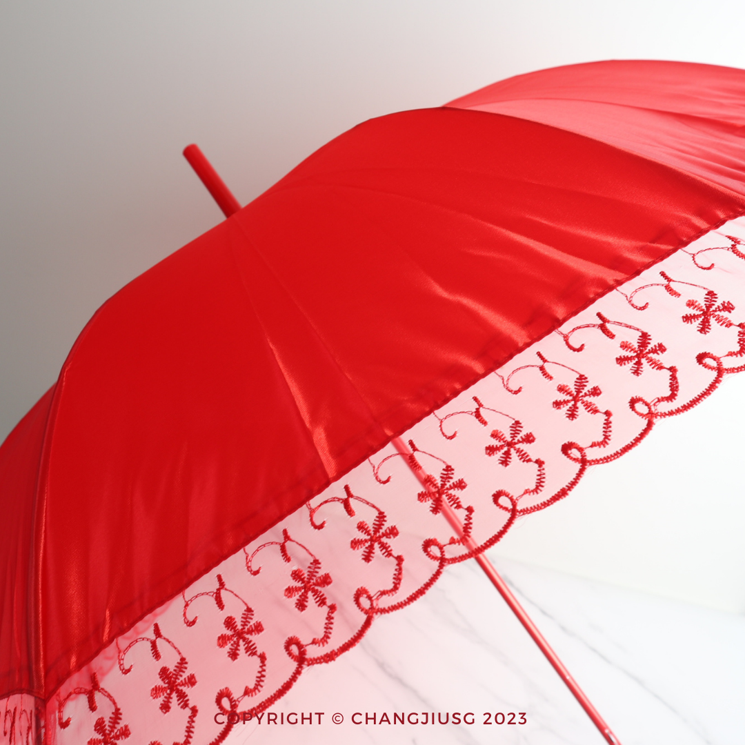 Red Umbrella 红伞