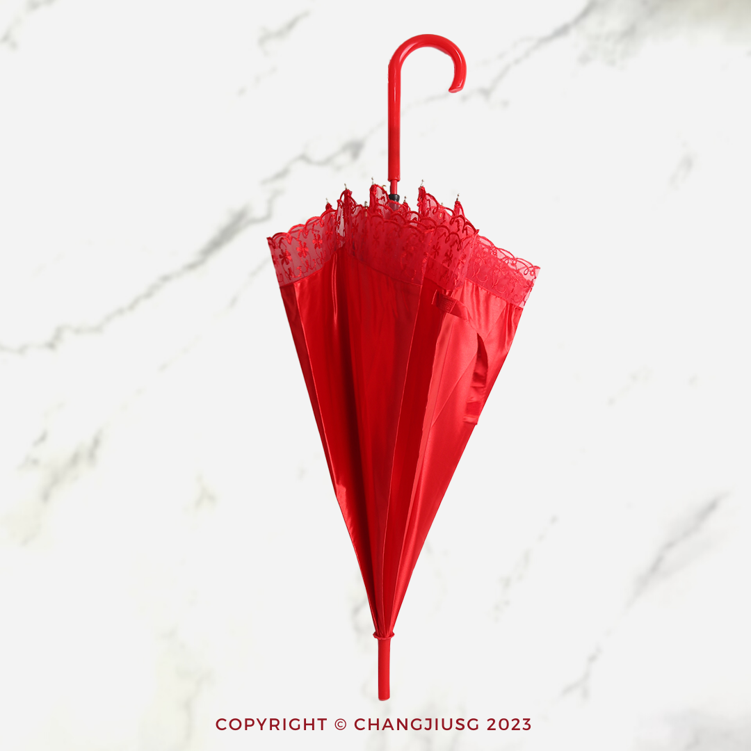 Red Umbrella 红伞