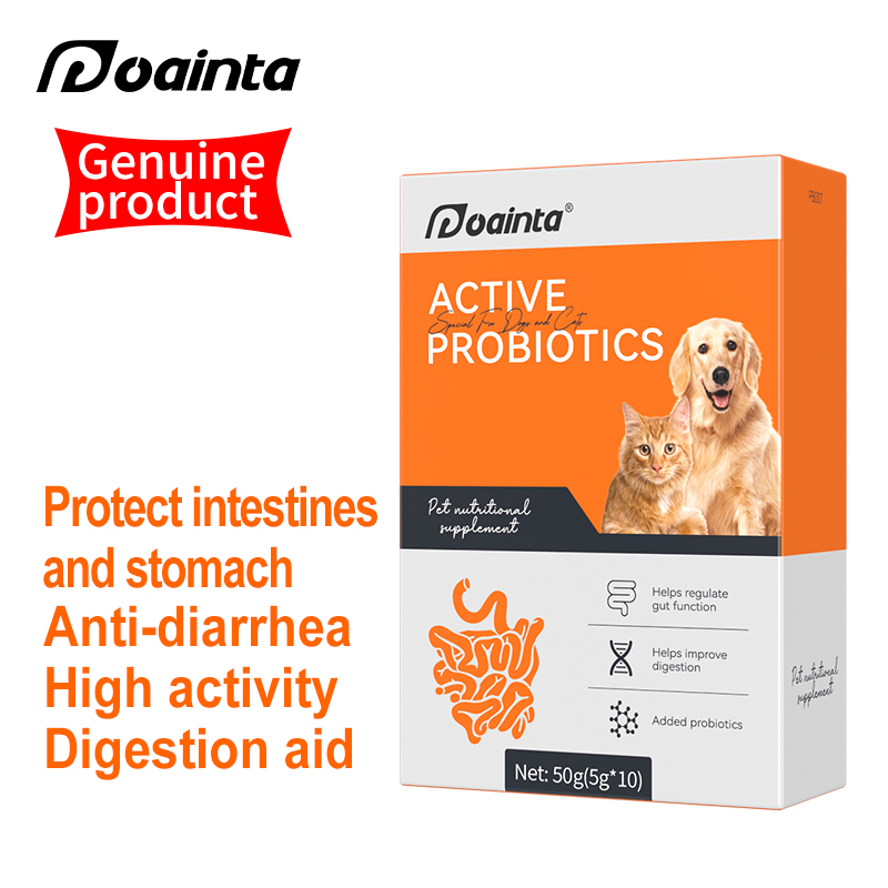  Probiotic Supplement
