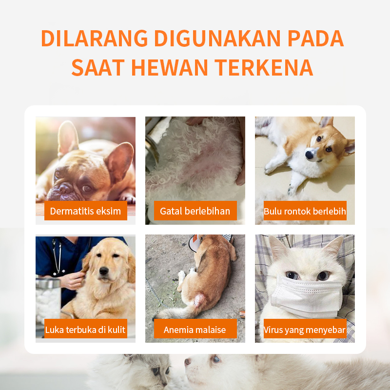 Anti Flea & Tick Topical Repellent for Dogs & Cats