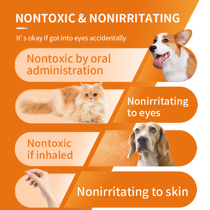 Puainta Hypochlorous Acid Spray
