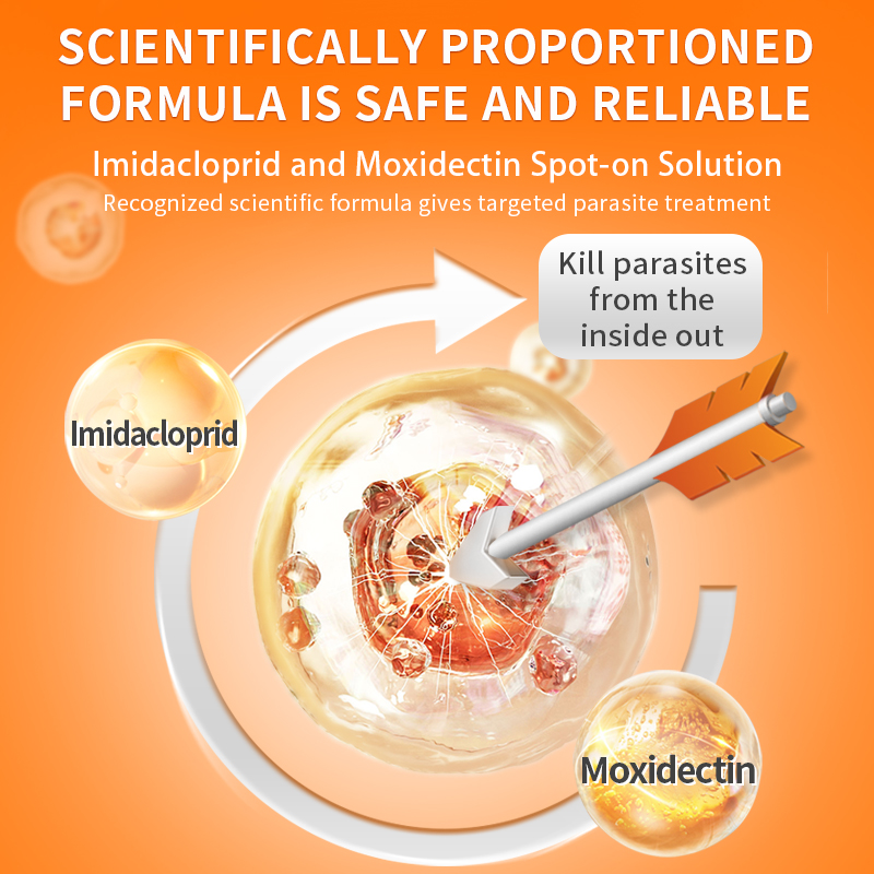 Puainta | Dewormer Anti Flea Lice and Worms for Dogs/ Cats