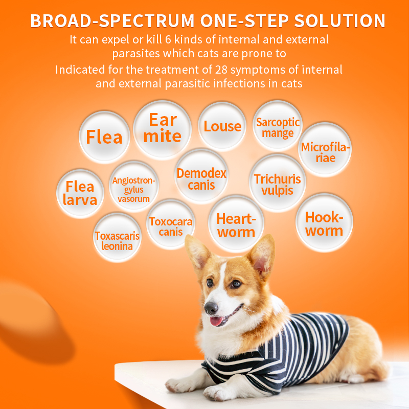 Puainta | Dewormer Anti Flea Lice and Worms for Dogs/ Cats