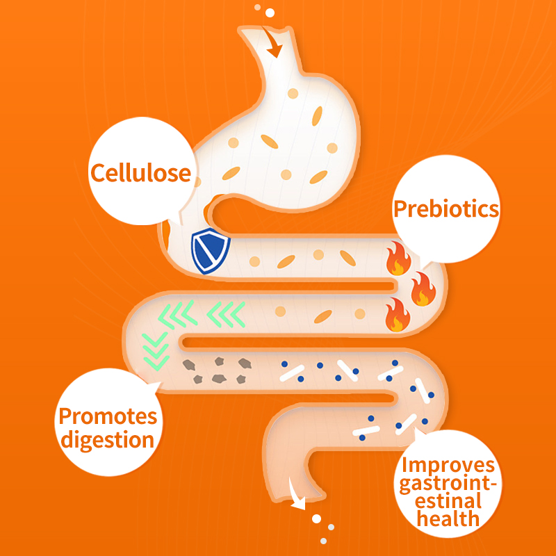 Puainta Dental Treats for Cats