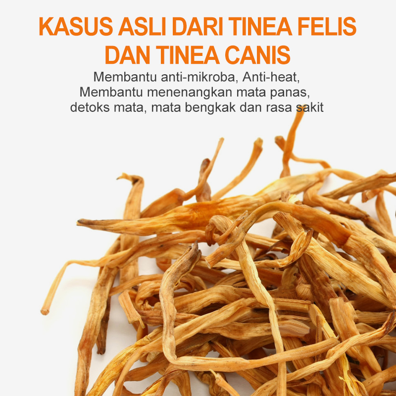  Eye Wash for Dogs and Cats