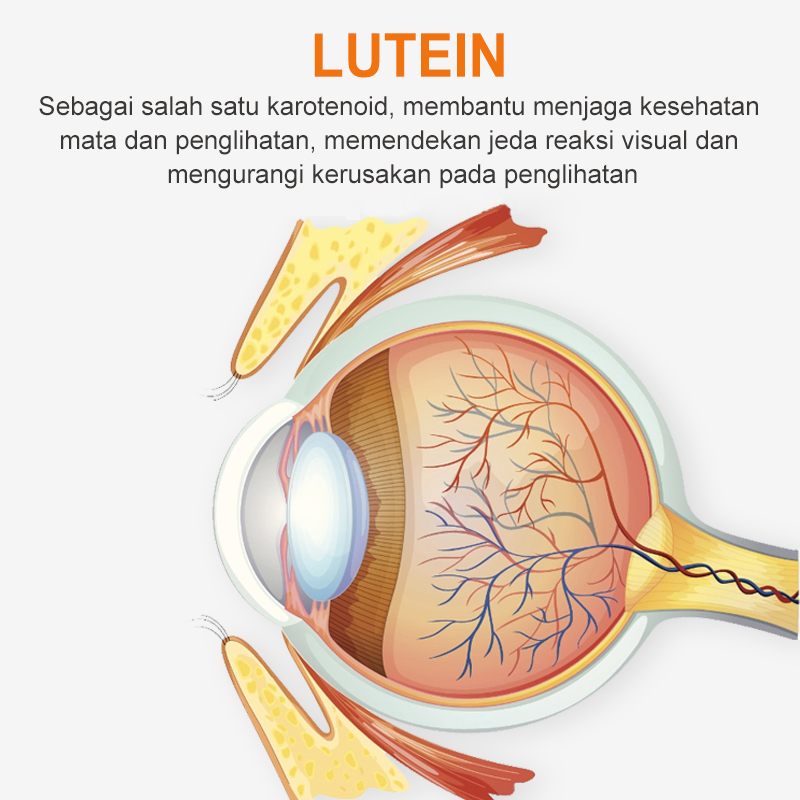  Eye Wash for Dogs and Cats