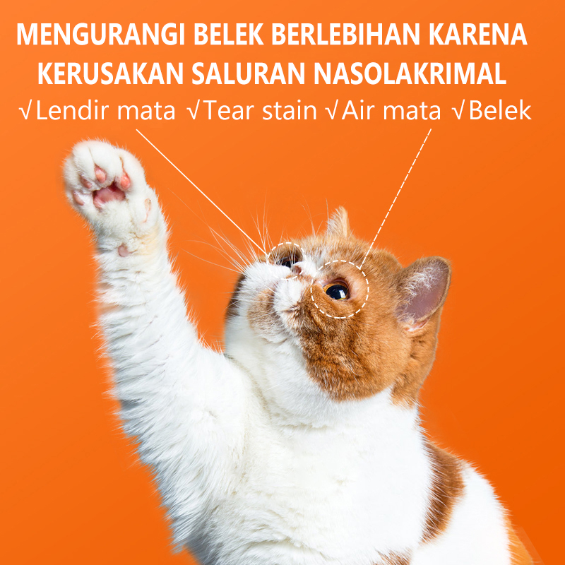  Eye Wash for Dogs and Cats