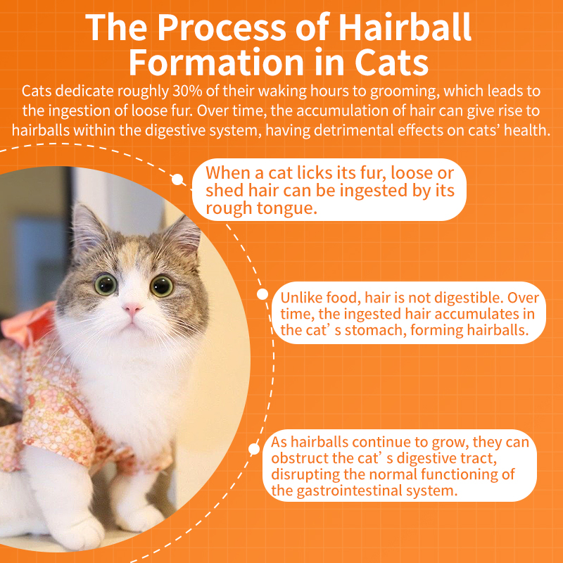 Puainta Hairball Relief Gel