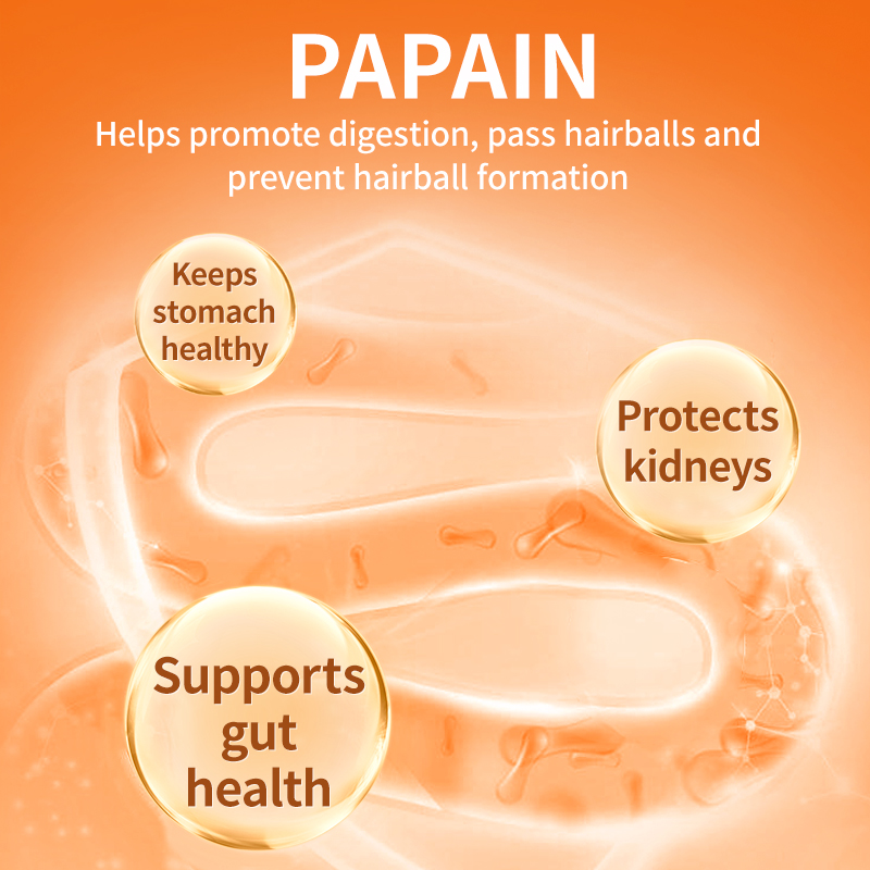 Puainta Hairball Relief Gel