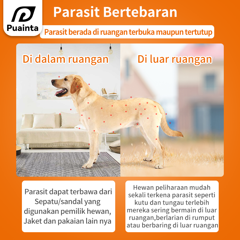 Anti Flea & Tick Topical Repellent for Dogs & Cats