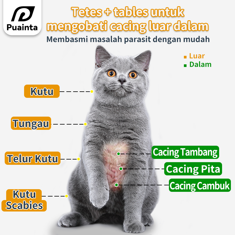 Anti Flea & Tick Topical Repellent for Dogs & Cats